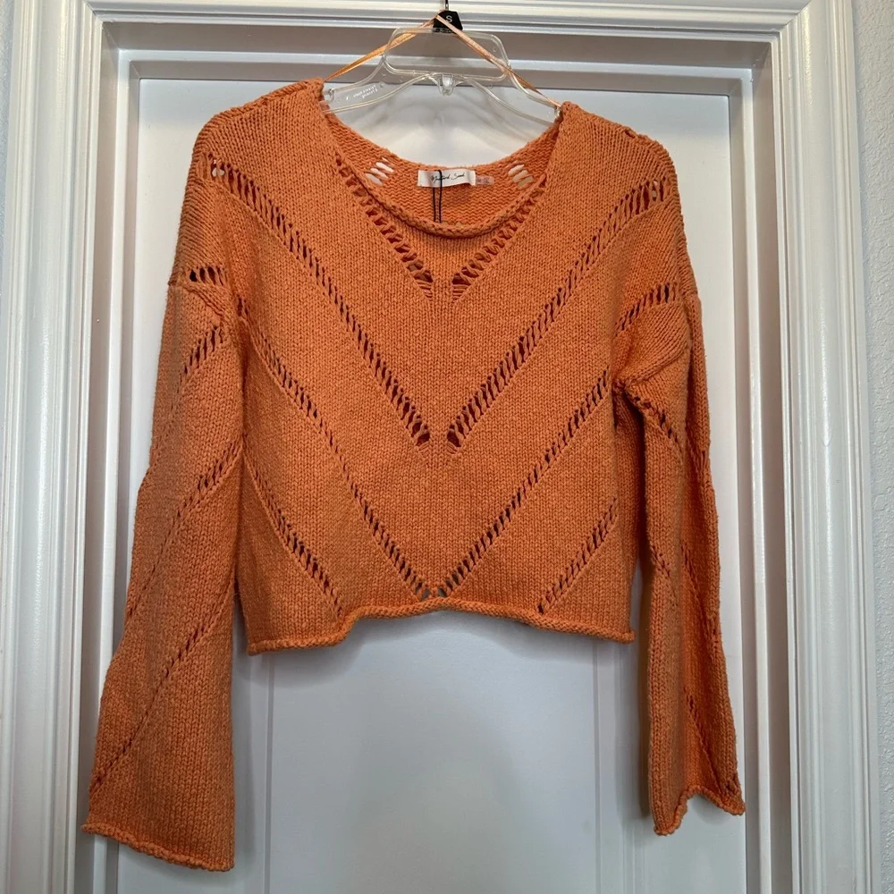 The orange Autumn Glaze Distressed‎ Sweater is Sz Medium